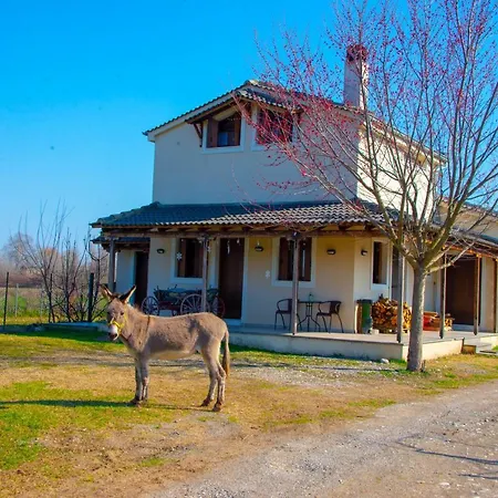 το σπίτι στο αγρόκτημα Drosero (Trikala)