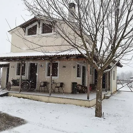 Villa το σπίτι στο αγρόκτημα Drosero (Trikala)