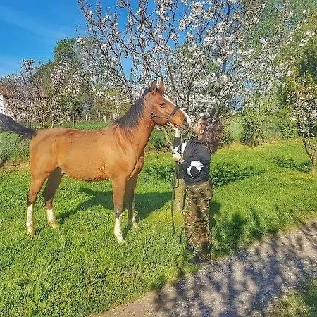 το σπίτι στο αγρόκτημα *
