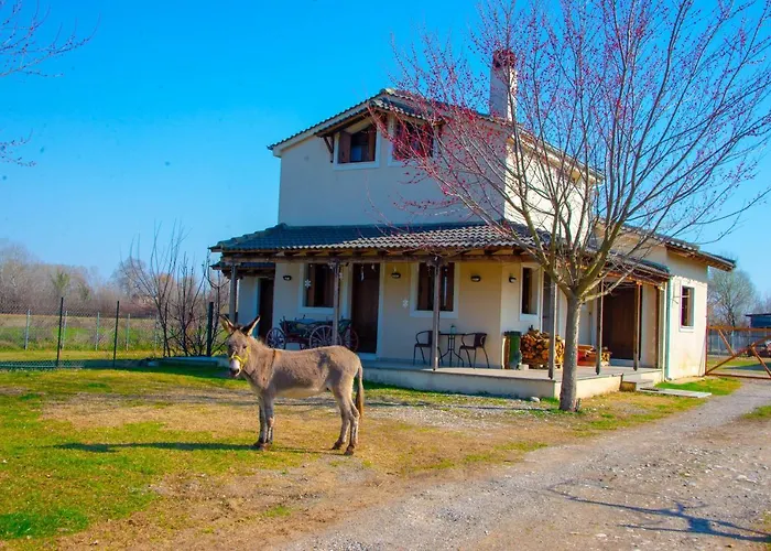 το σπίτι στο αγρόκτημα Drosero (Trikala)