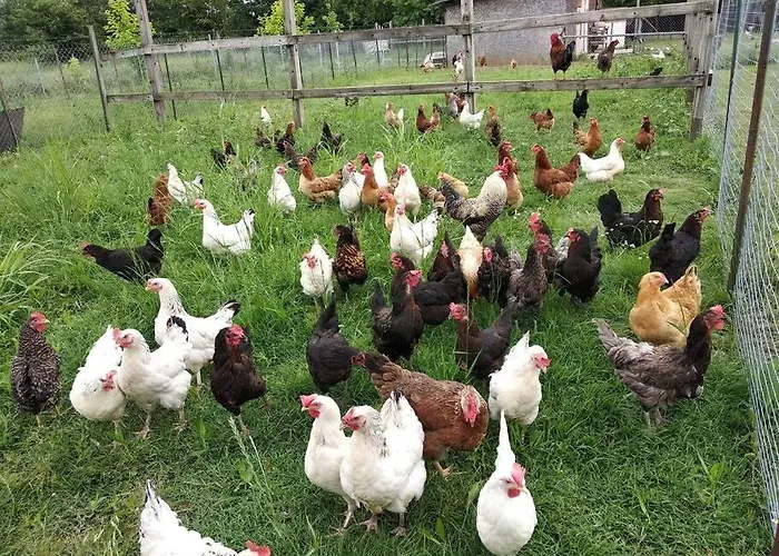 το σπίτι στο αγρόκτημα Villa *