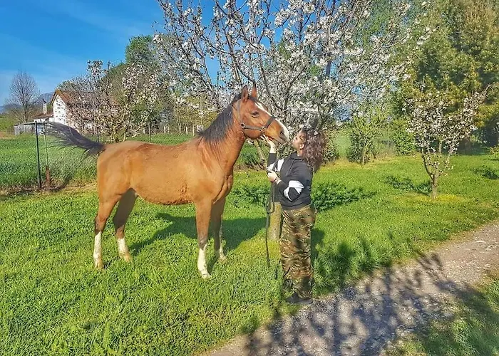 το σπίτι στο αγρόκτημα *